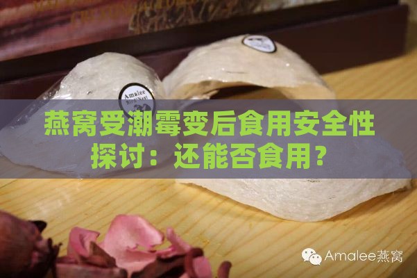 燕窝受潮霉变后食用安全性探讨：还能否食用？