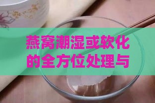 燕窝潮湿或软化的全方位处理与保存指南