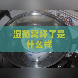 湿燕窝坏了是什么样