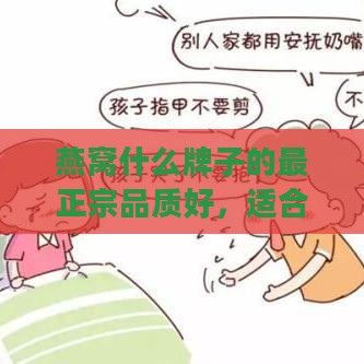 燕窝什么牌子的最正宗品质好，适合孕妇产妇食用7A级标准