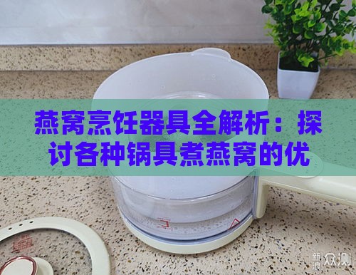 燕窝烹饪器具全解析：探讨各种锅具煮燕窝的优缺点与技巧