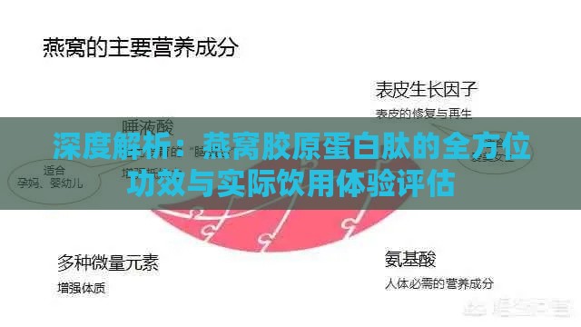 深度解析：燕窝胶原蛋白肽的全方位功效与实际饮用体验评估