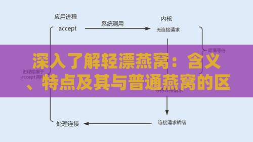 深入了解轻漂燕窝：含义、特点及其与普通燕窝的区别