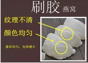 揭秘燕窝粘碎工艺：探悉所用胶水种类及其安全性