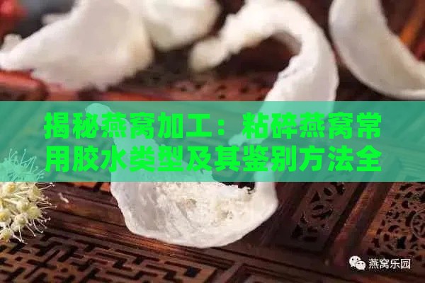 揭秘燕窝加工：粘碎燕窝常用胶水类型及其鉴别方法全解析