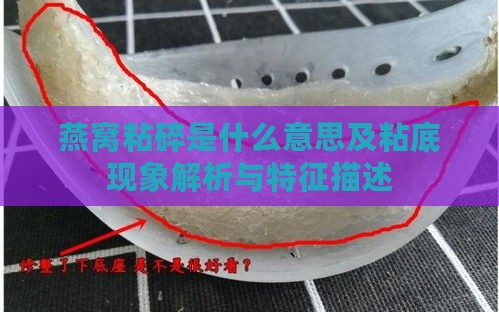 燕窝粘碎是什么意思及粘底现象解析与特征描述