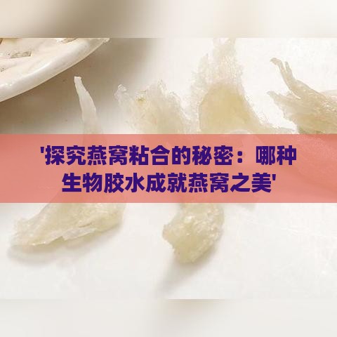 '探究燕窝粘合的秘密：哪种生物胶水成就燕窝之美'