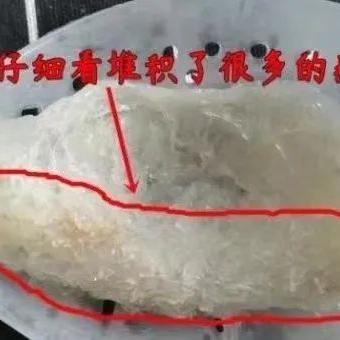 燕窝底座粘碎问题解析：原因、影响与解决方法全面指南