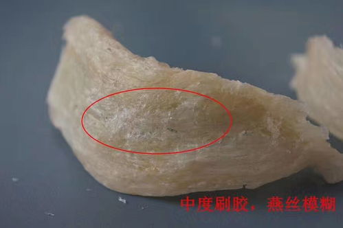 燕窝粘碎用的什么胶