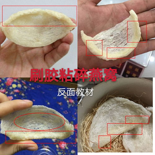 燕窝粘碎用的什么胶