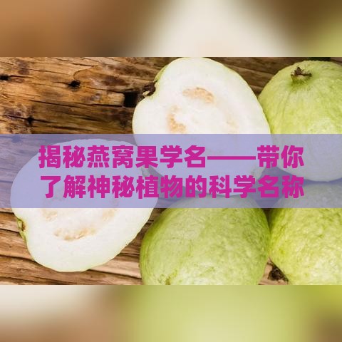 揭秘燕窝果学名——带你了解神秘植物的科学名称