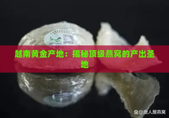 越南黄金产地：揭秘顶级燕窝的产出圣地