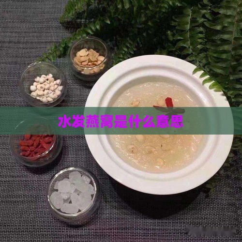 水发燕窝是什么意思