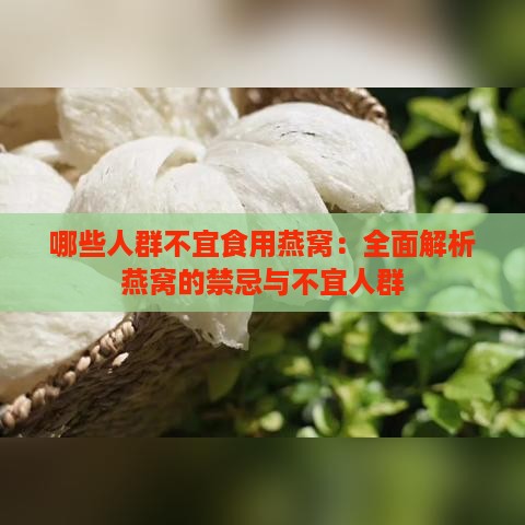 哪些人群不宜食用燕窝：全面解析燕窝的禁忌与不宜人群