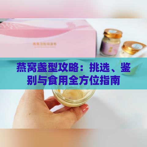 燕窝盏型攻略：挑选、鉴别与食用全方位指南