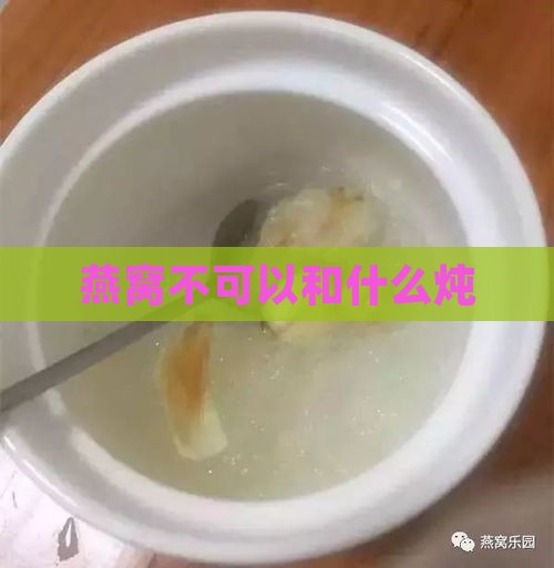 燕窝不可以和什么炖