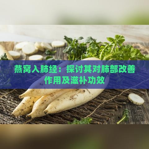 燕窝入肺经：探讨其对肺部改善作用及滋补功效