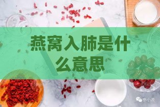 燕窝入肺是什么意思