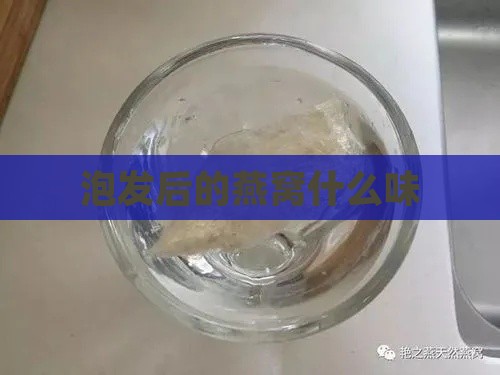 泡发后的燕窝什么味