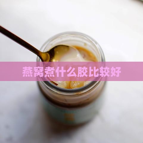 燕窝煮什么胶比较好