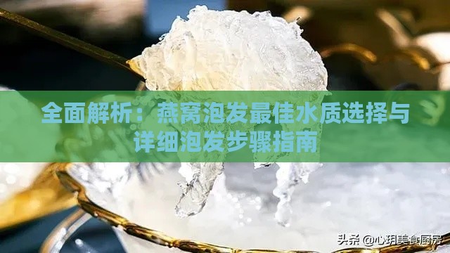 全面解析：燕窝泡发更佳水质选择与详细泡发步骤指南