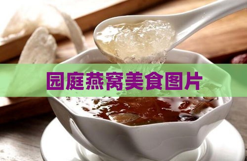 园庭燕窝美食图片