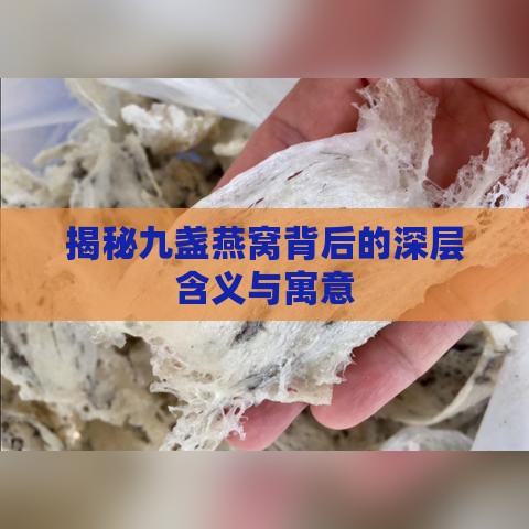 揭秘九盏燕窝背后的深层含义与寓意