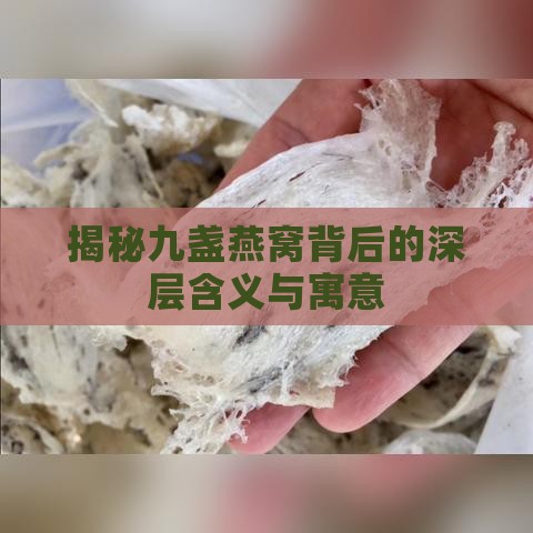 揭秘九盏燕窝背后的深层含义与寓意