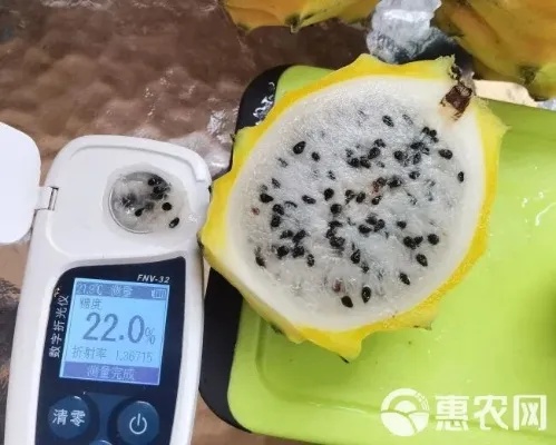 燕窝果批发价多少钱，最新价格表一览