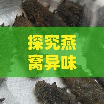 探究燕窝异味：揭开燕窝发出臭味的真相