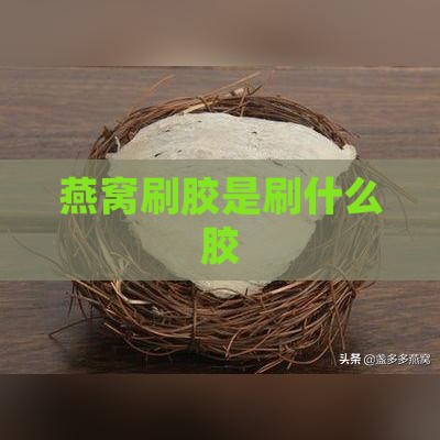 燕窝刷胶是刷什么胶