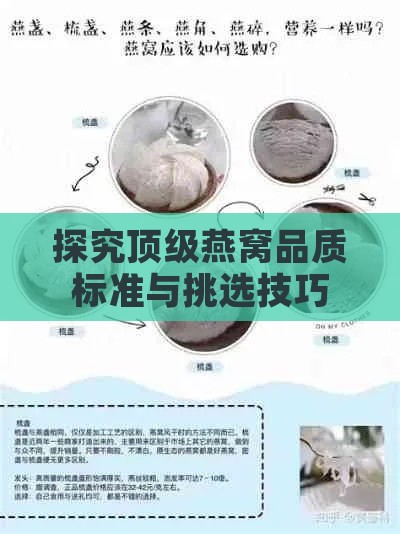 探究顶级燕窝品质标准与挑选技巧