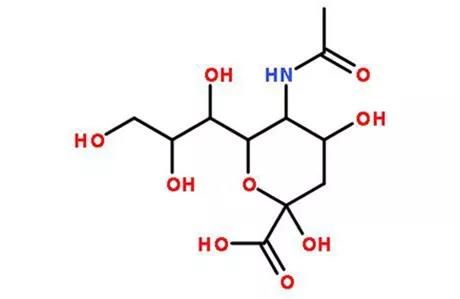 度nn探究人体唾液酸与燕窝唾液酸含量、功效及相互作用差异