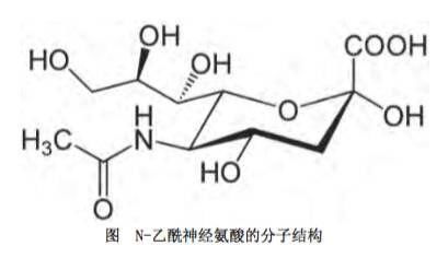 度nn探究人体唾液酸与燕窝唾液酸含量、功效及相互作用差异