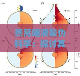 燕窝唾液酸伪科学：探讨其危害、作用、功效及研究现状与食物差异