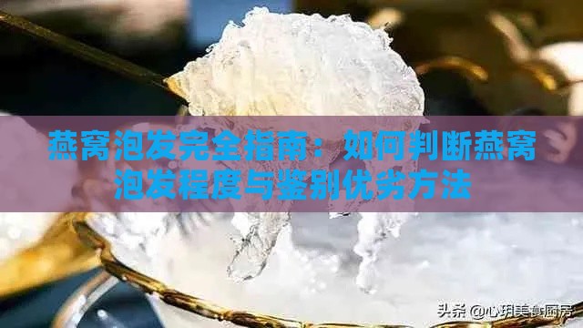 燕窝泡发完全指南：如何判断燕窝泡发程度与鉴别优劣方法