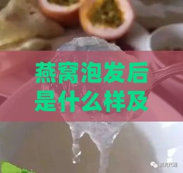 燕窝泡发后是什么样及其功效作用与营养价值解析