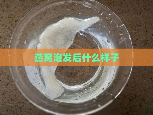 燕窝泡发后什么样子