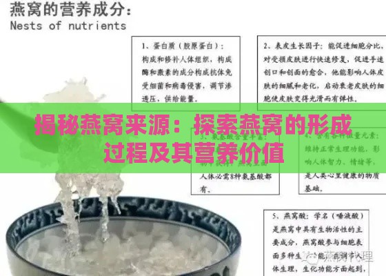 揭秘燕窝来源：探索燕窝的形成过程及其营养价值