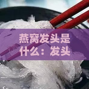 燕窝发头是什么：发头含义及大小对品质影响解析