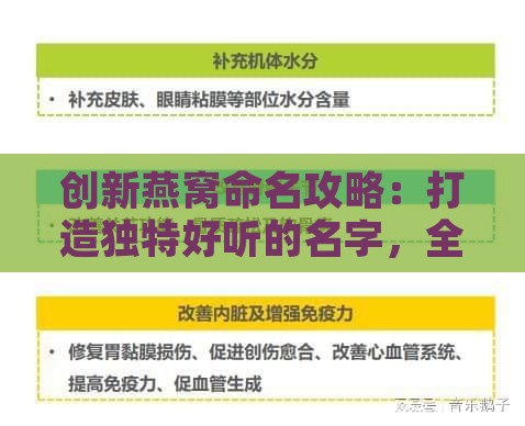 创新燕窝命名攻略：打造独特好听的名字，全面覆盖用户搜索需求