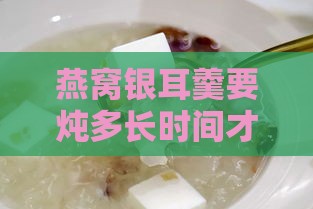 燕窝银耳羹要炖多长时间才能口感更佳与存放时长