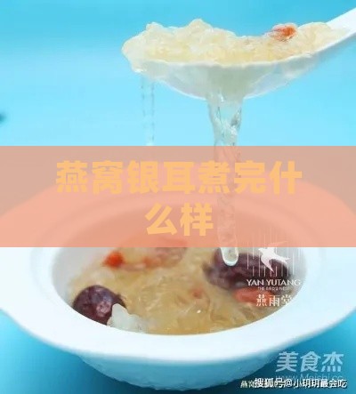 燕窝银耳煮完什么样