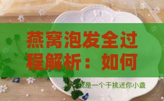 燕窝泡发全过程解析：如何判断燕窝是否泡好及其理想状态