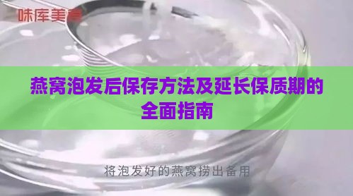 燕窝泡发后保存方法及延长保质期的全面指南