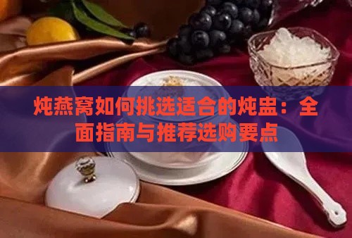 炖燕窝如何挑选适合的炖盅：全面指南与推荐选购要点