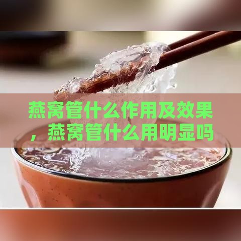 燕窝管什么作用及效果，燕窝管什么用明显吗，燕窝功效好不好？