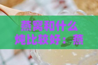 燕窝和什么炖比较好：燕窝搭配食材炖煮营养美味指南