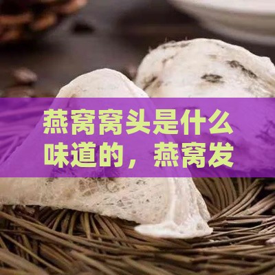 燕窝窝头是什么味道的，燕窝发头如何及味道特征解析