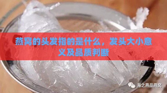 燕窝的头发指的是什么，发头大小意义及品质判断